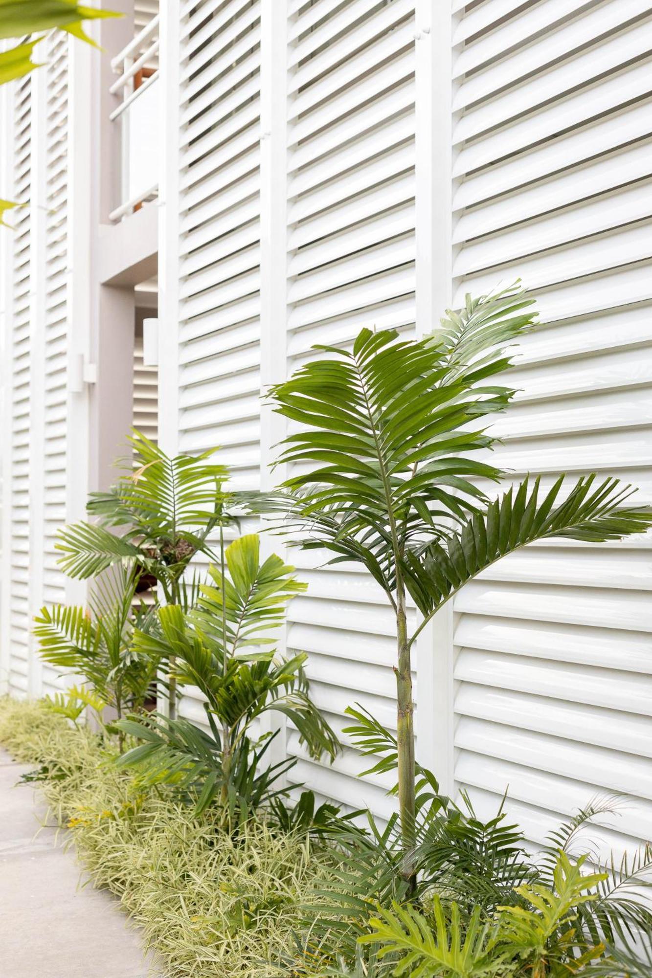 Eden Roc Appartements 勒迪亚芒 外观 照片